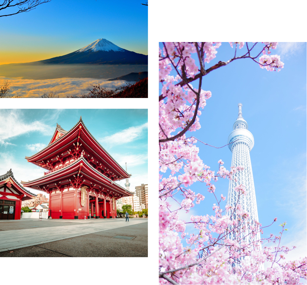 Du Lịch Trẻ - Hành Trình Kết Nối Mọi Đường Bay - Du Lịch Trẻ